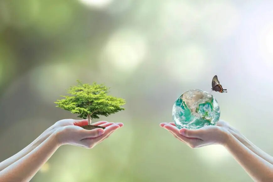 terre-bio-environnement-écologie-éco-responsable-naturel